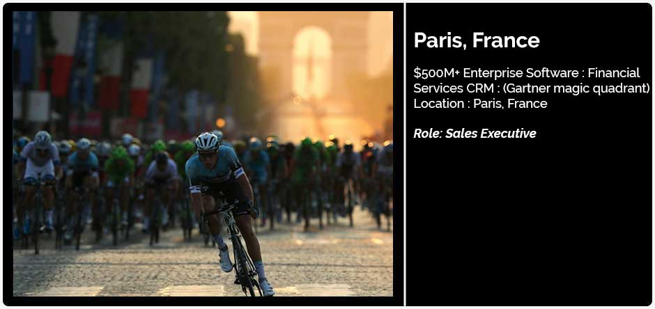 paris_france_sales_executive